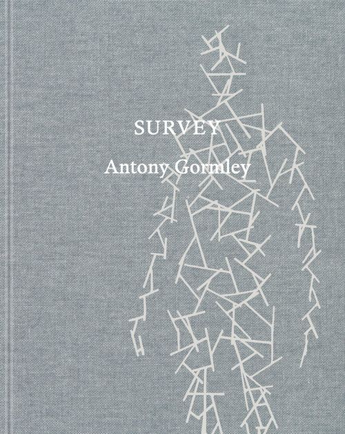 Survey Antony Gormley
