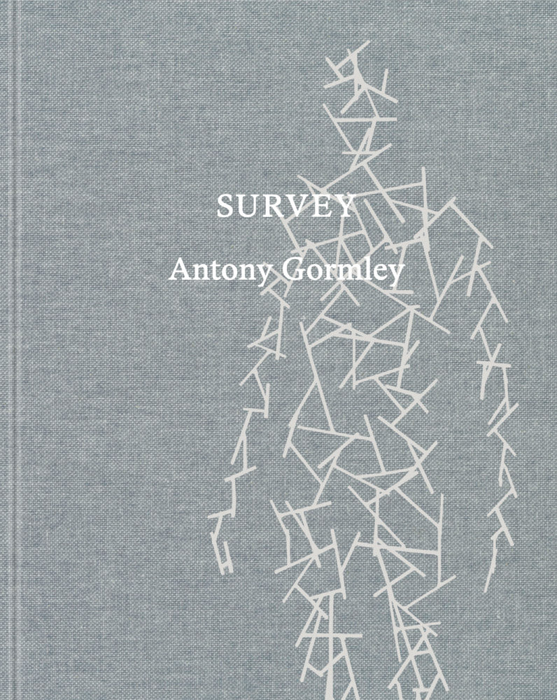 Survey Antony Gormley