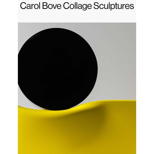 Carol Bove Collage Sculptures